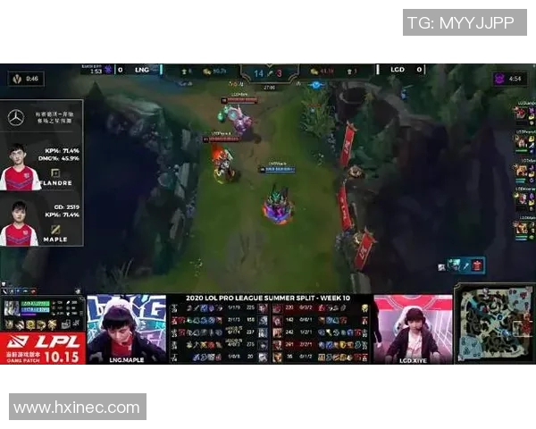 聚焦王者荣耀：探讨LNG选手个人能力与团队协作的关系